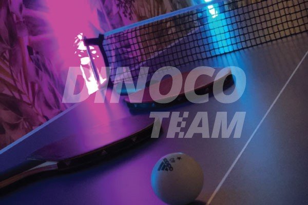 mini ping pong profesional
